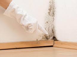 Best Commercial Mold Inspection in Twentynine Palms, CA